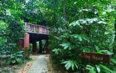 Туры в отель Our Jungle House