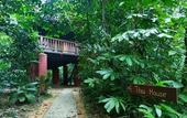 Туры в отель Our Jungle House