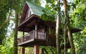 Туры в отель Our Jungle House