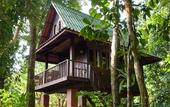 Туры в отель Our Jungle House