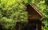 Туры в отель Our Jungle House