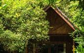 Туры в отель Our Jungle House