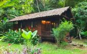 Туры в отель Our Jungle House