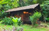 Туры в отель Our Jungle House