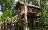 Туры в отель Our Jungle House