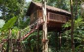 Туры в отель Our Jungle House