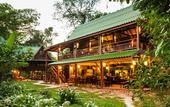 Туры в отель Our Jungle House