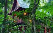 Туры в отель Our Jungle House