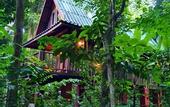 Туры в отель Our Jungle House