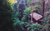Туры в отель Our Jungle House