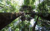 Туры в отель Our Jungle House