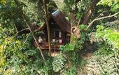 Туры в отель Our Jungle House