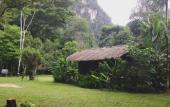 Туры в отель Our Jungle House