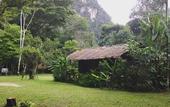 Туры в отель Our Jungle House