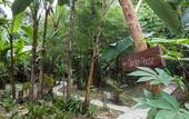 Туры в отель Our Jungle House