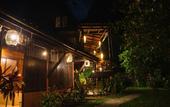 Туры в отель Our Jungle House