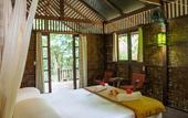Туры в отель Our Jungle House