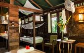 Туры в отель Our Jungle House