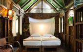 Туры в отель Our Jungle House