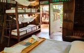 Туры в отель Our Jungle House