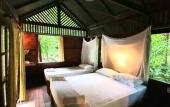 Туры в отель Our Jungle House