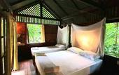 Туры в отель Our Jungle House