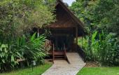 Туры в отель Our Jungle House
