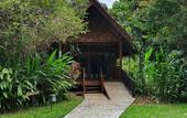 Туры в отель Our Jungle House