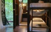 Туры в отель Our Jungle House