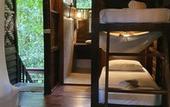 Туры в отель Our Jungle House