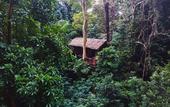 Туры в отель Our Jungle House