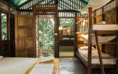 Туры в отель Our Jungle House