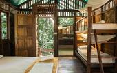 Туры в отель Our Jungle House