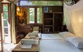 Туры в отель Our Jungle House