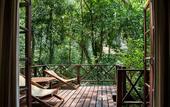 Туры в отель Our Jungle House