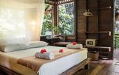 Туры в отель Our Jungle House