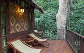 Туры в отель Our Jungle House