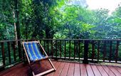 Туры в отель Our Jungle House