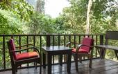 Туры в отель Our Jungle House