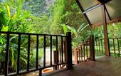 Туры в отель Our Jungle House