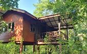 Туры в отель Our Jungle House