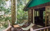 Туры в отель Our Jungle House