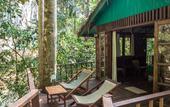 Туры в отель Our Jungle House
