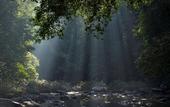 Туры в отель Our Jungle House