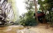 Туры в отель Our Jungle House