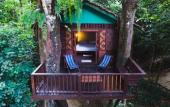 Туры в отель Our Jungle House