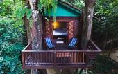 Туры в отель Our Jungle House