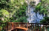 Туры в отель Our Jungle House