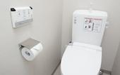 Туры в отель Hotel Lantana Osaka