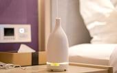 Туры в отель Lavande Hotel Guangzhou Baiyun Avenue North Subway Station